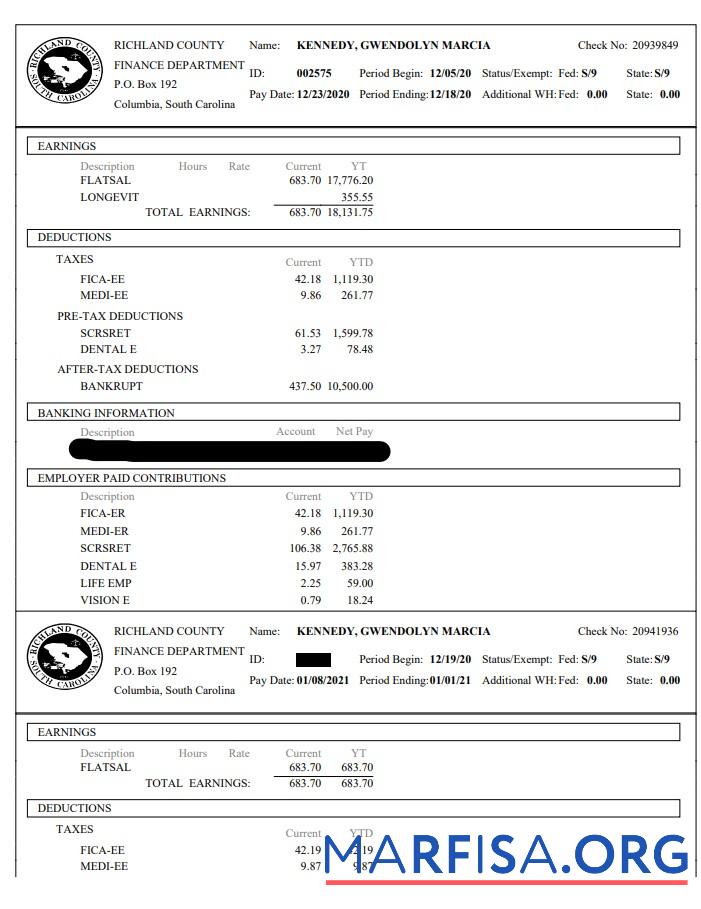 Blank Richland County Finance Department paystub sample